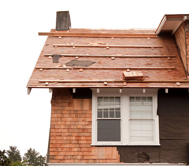 Affordable Siding Repair and Maintenance Services in Argentine, MI